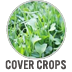 Cover Crops