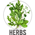Herbs