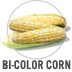 Bi-Color Corn