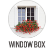 Window Box