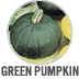 Green Pumpkins