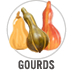 Gourd
