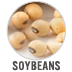 Soybeans