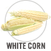 White Corn
