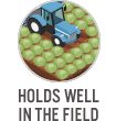 Holds Well In The Field