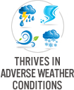 Thrives in Adverse Weather Conditions