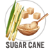 Sugar Cane