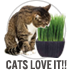 Cats Love It!