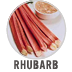 Rhubarb