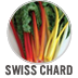 Swiss Chard