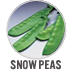Snow Peas