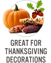 Great for Thanksgiving Decorations