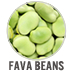 Fava Beans