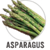 Asparagus
