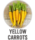Yellow Carrots