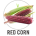 Red Corn