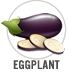 Eggplant