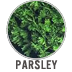 Parsley