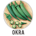 Okra