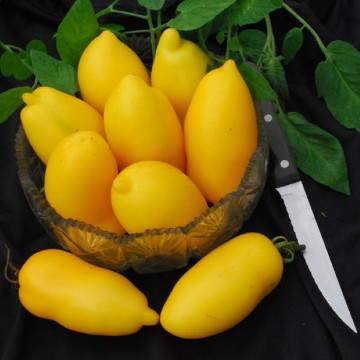 Roman Candle Tomato Seeds