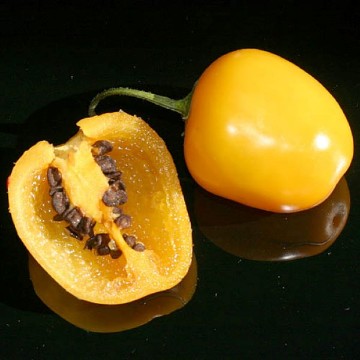 Rocoto Manzano Amarillo Pepper Seeds