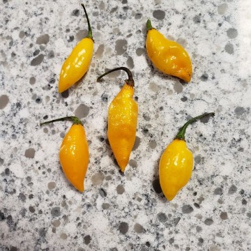 Beni Highlands Pepper Seeds
