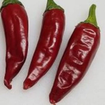 Guajillo Pepper Seeds