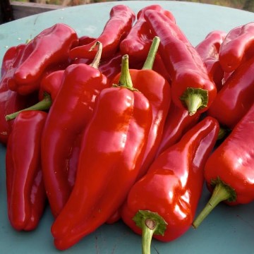 Doux d'Espagne Pepper Seeds
