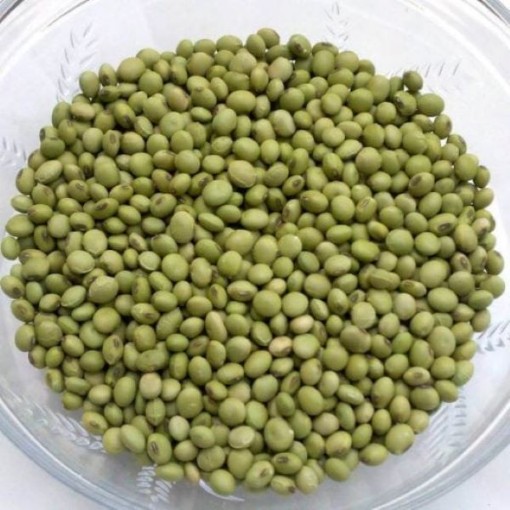 Envy Soybeans BN34-50