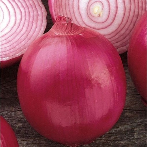 Red Creole Onions ON8-100