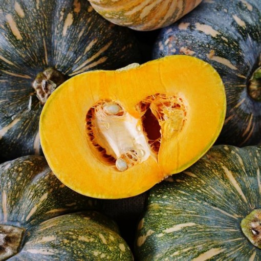 Kabocha Squash SQ113-20