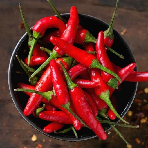Thai Super Chili Peppers HP1871-10