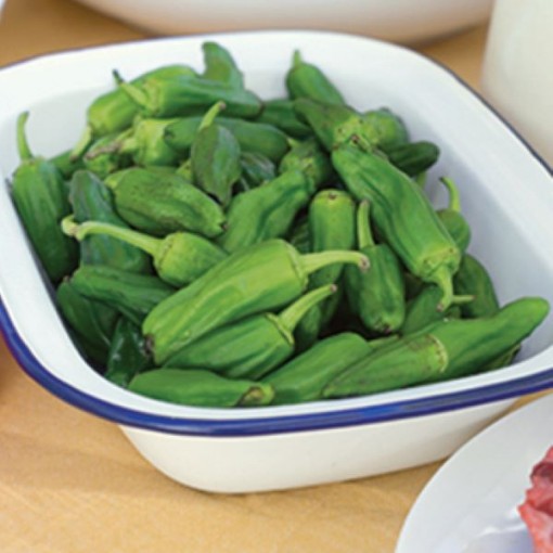 Dragon Grilling Peppers HP38-10
