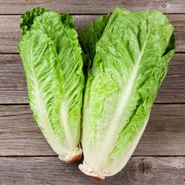 Parris Island Cos Lettuce Seeds