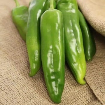 Charger Anaheim Pepper Seeds