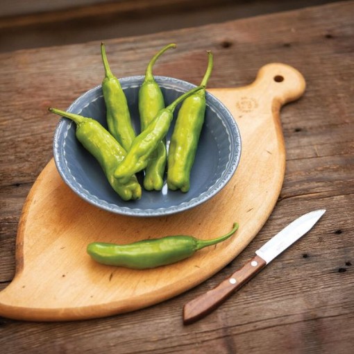 Shishimai Shishito Peppers HP448-10