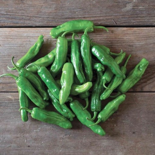 Paisan Pepperoncini Peppers HP548-20