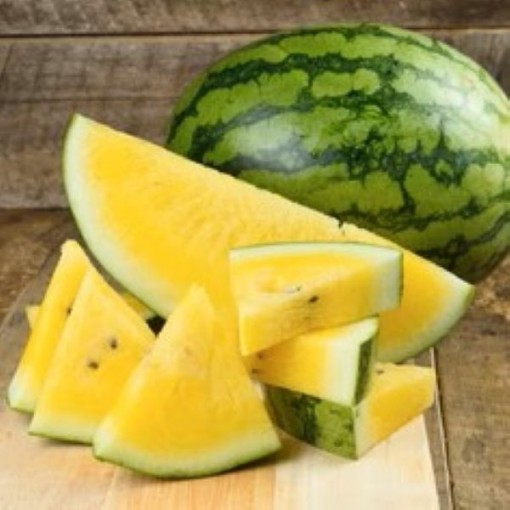 Yellow Doll Watermelons WM20-20