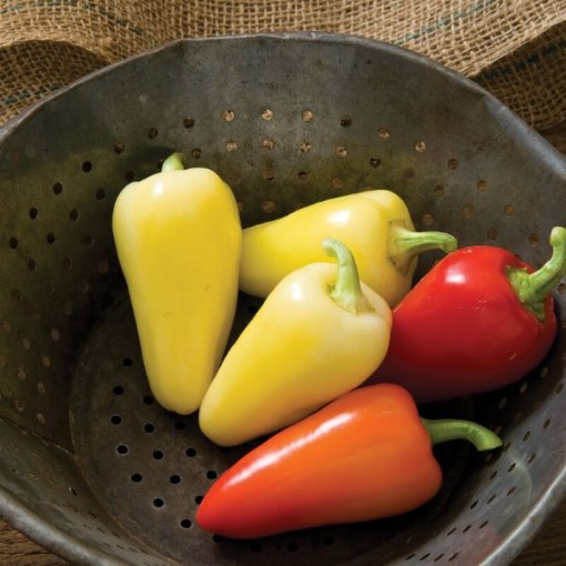 Havasu Santa Fe Peppers HP2240-10
