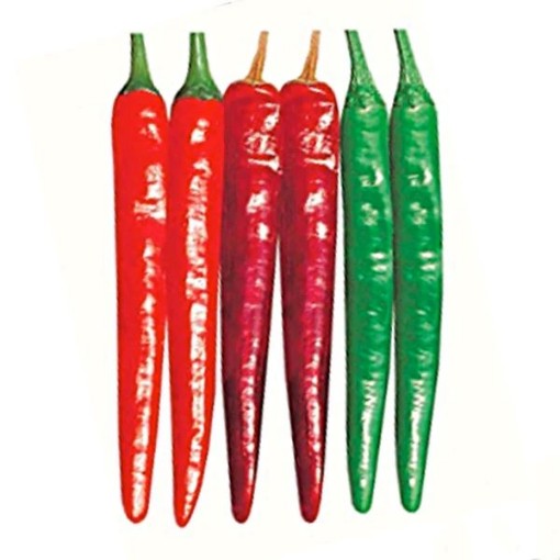 Wa Mae Wo Yeori Gochu Peppers HP955-20