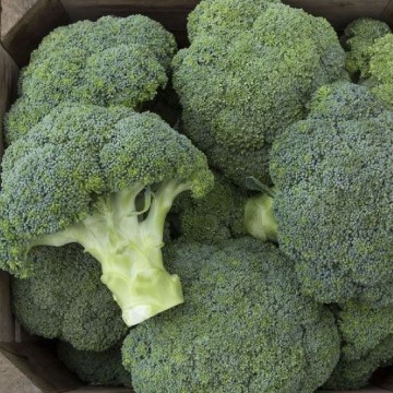 Covina Broccoli Seeds