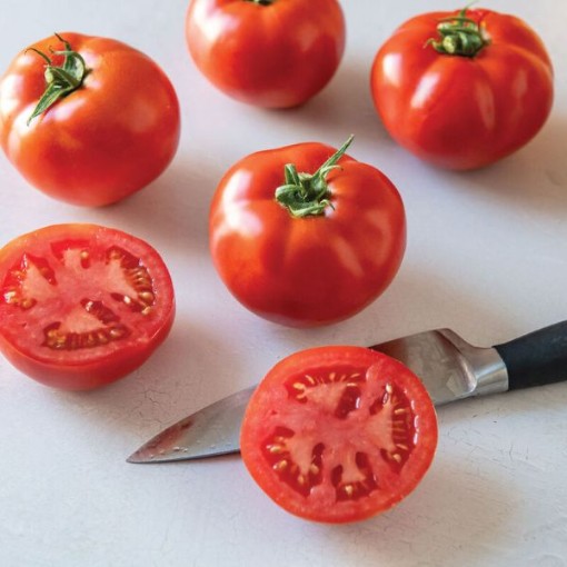 Celebrity Plus Tomato TM913-10