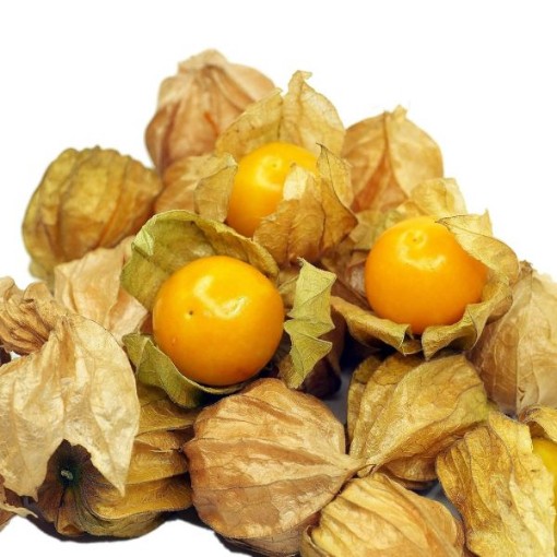 Pineapple Tomatillo TL2-20