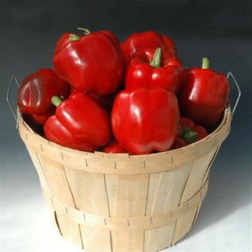 Revolution II Pepper Seeds