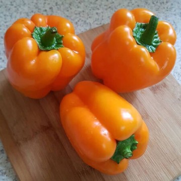Orange Sun Pepper Seeds