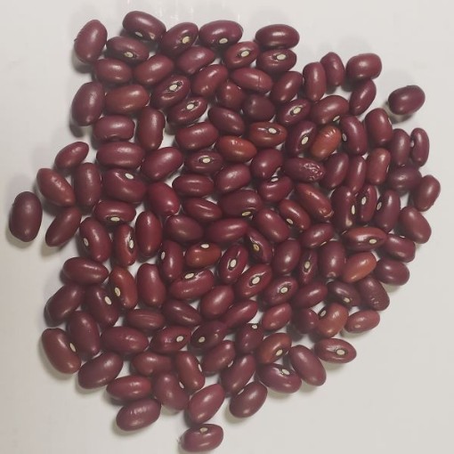 Red Mexican Beans BN61-50