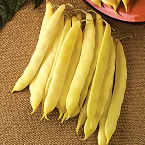Romano Golden Beans BN72-50