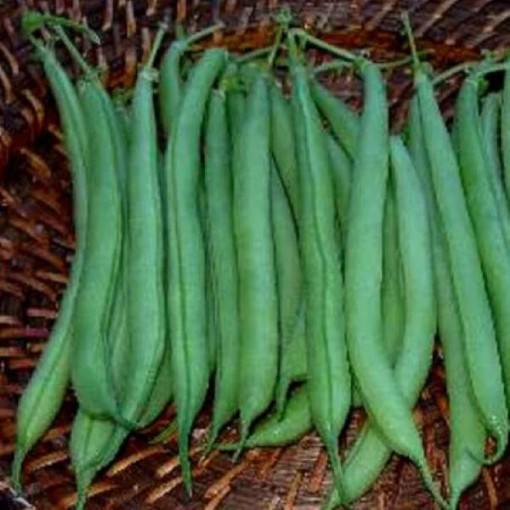 Strike Beans BN96-50