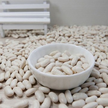Dixie White Butterpea Bean Seeds