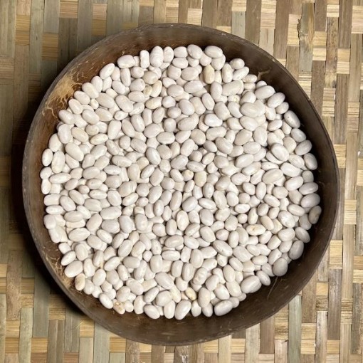Navy Beans BN116-50
